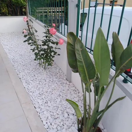 Holiday home Lagoon & Country Side Ilhavo