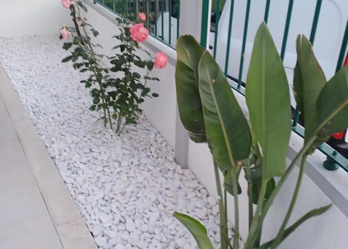 Nyaraló Lagoon & Country Side Ílhavo